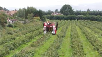 Pond Farm update from Parish Council meeting 29 August