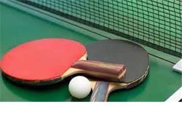 Table Tennis at Newington Village Hall